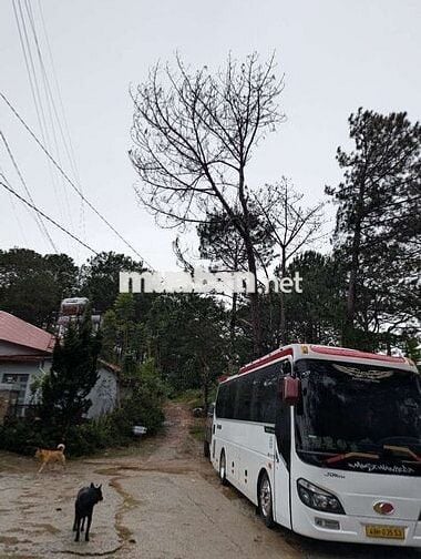 Mình cần cho thuê nhà cấp 4 hẻm xe 30 chỗ tới tận cổng