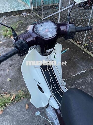 Honda Super Dream 110 Trắng Nâu