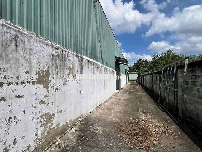 Xưởng Tân Hạnh, 1300m, giá 35tr, đường cont, sản xuất đa ngành