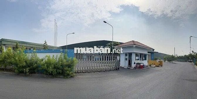 Cho thuê nhà xưởng 10.000m2,Tỉnh Lộ 10, Tân Tạo, Bình Tân, bảo vệ 24/7