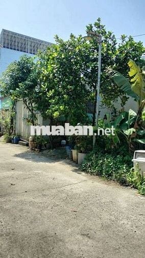 Đất đẹp  2MT trước-sau, hẻm xe tải Thạnh xuân 52, DT: 5.3mx16m=86m2.