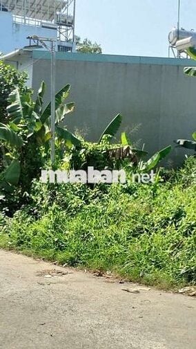 Đất đẹp  2MT trước-sau, hẻm xe tải Thạnh xuân 52, DT: 5.3mx16m=86m2.