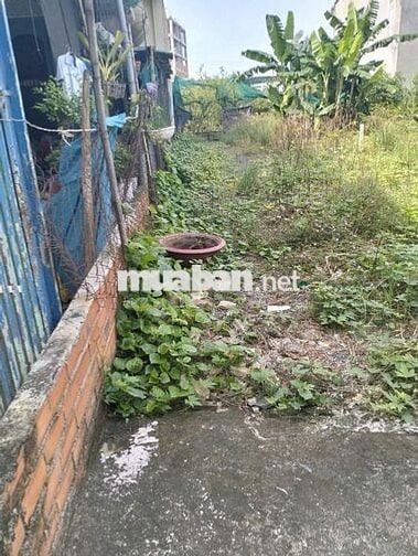 5x22m⏩️Bán đất Hóc Môn 110m2⏩️Hẻm xe tải Phạm Thị Giây⏩️giá 4 tỷ 6