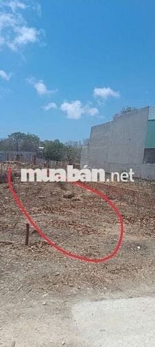 Bán đất thổ cư 125m2 Sổ hồng riêng ,xã Phước Hưng (long hải)