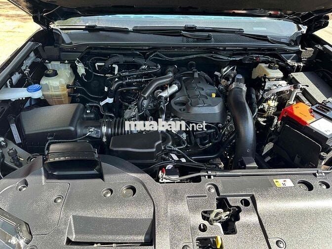 Ford Everest 2022 Titanium Plus 4x4 58000 km Đen