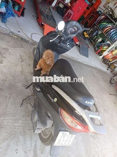 SYM Attila Đen còn zin