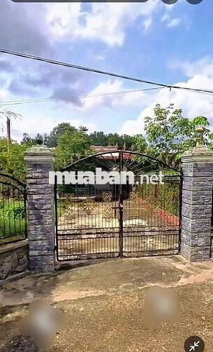 Chủ chuyển về quê sinh sống nhờ bán giúp