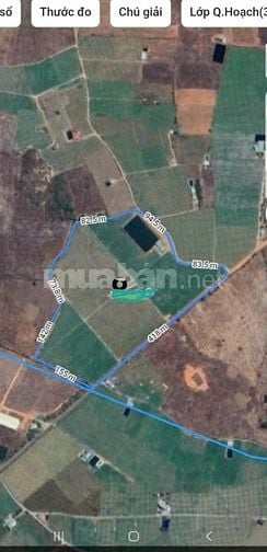 Đất 8ha8 gần biển Nova Phan Thiết, đường lớn, qui hoạch TMDV, giá rẻ, 