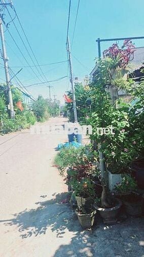 Nhà Mặt Tiền Dương Đình Cúc Thoát Mát Trường Học Chợ BV V..v