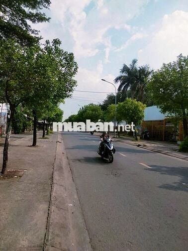 GẤP BÁN MT NHỰA TT.HÓC MÔN 136M2 SHR FULL TC GIÁ 1 TY 250 CÒN TL SÂU