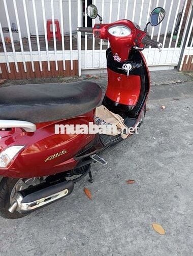 Elizabeth đỏ candy