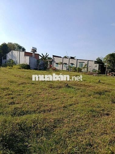 Bán gấp đất gần chợ Phước Thạnh, Tây Ninh giá rẻ