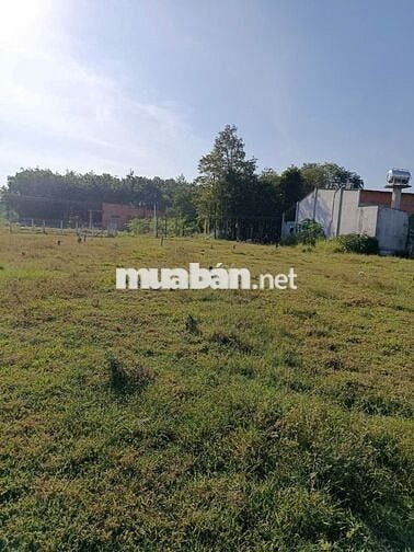 Bán gấp đất gần chợ Phước Thạnh, Tây Ninh giá rẻ