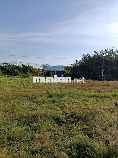 Bán gấp đất gần chợ Phước Thạnh, Tây Ninh giá rẻ