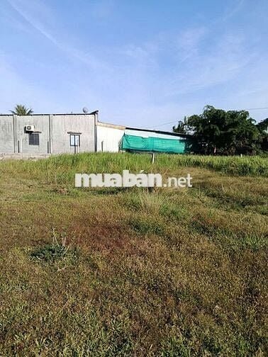 Bán gấp đất gần chợ Phước Thạnh, Tây Ninh giá rẻ