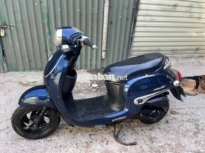 Thanh lí xe ga 50cc đời cao