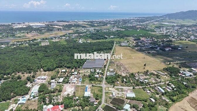 🌴 LÔ ĐẤT VEN BIỂN VŨNG TÀU – BÌNH CHÂU GIÁ NGỢP 1TY020