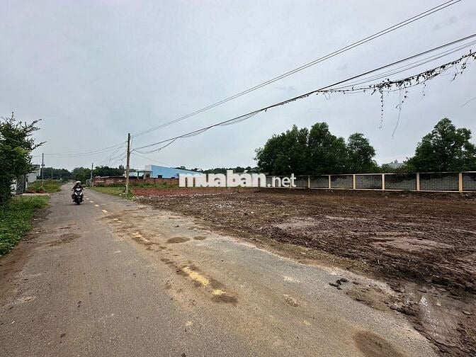 🌴 LÔ ĐẤT VEN BIỂN VŨNG TÀU – BÌNH CHÂU GIÁ NGỢP 1TY020