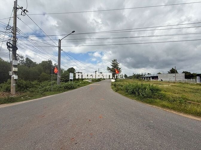 🌴 LÔ ĐẤT VEN BIỂN VŨNG TÀU – BÌNH CHÂU GIÁ NGỢP 1TY020