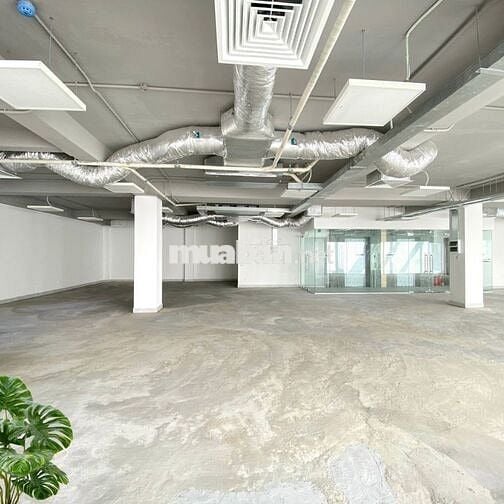 Chính Chủ Cho Thuê Văn Phòng Tại Bàu Cát 2, Tân Bình