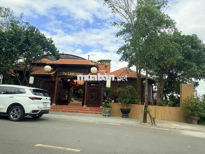 CẦN BÁN ĐẤT THANH LƯƠNG 30 - HÒA XUÂN ĐÀ NẴNG