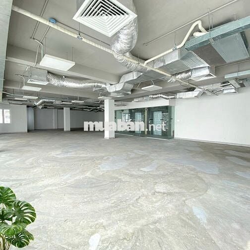 Chính Chủ Cho Thuê Văn Phòng Tại Bàu Cát 2, Tân Bình