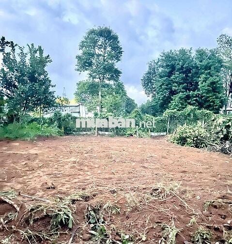 tôi chính chủ bán lô đất đường ô tô Phú Thượng P Hải Vân Đà Nẵng