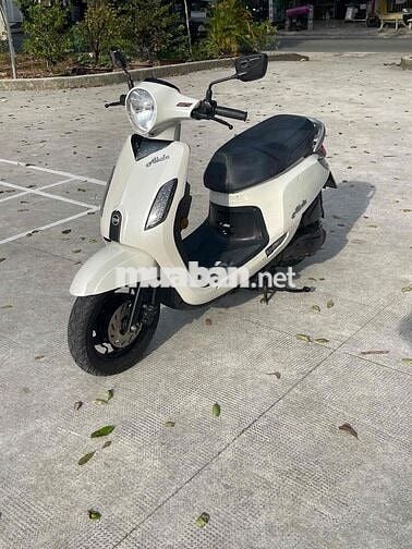 SYM Abela 2018 màu Trắng