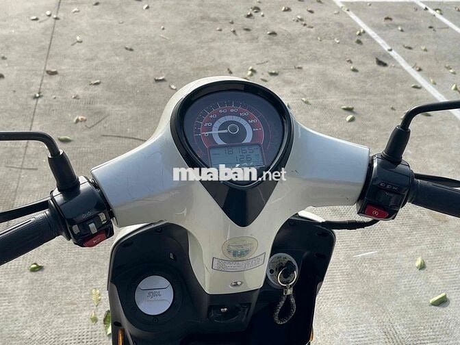 SYM Abela 2018 màu Trắng