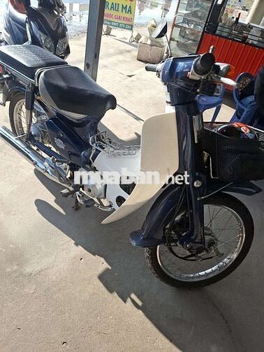 Honda cuptum Cub Xanh trắng