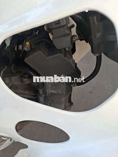 Honda cuptum Cub Xanh trắng