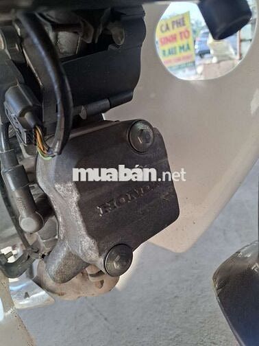 Honda cuptum Cub Xanh trắng