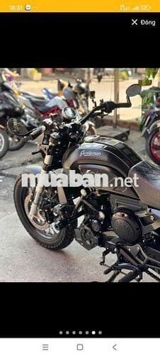 GPX Gentleman Đen Cổ điển