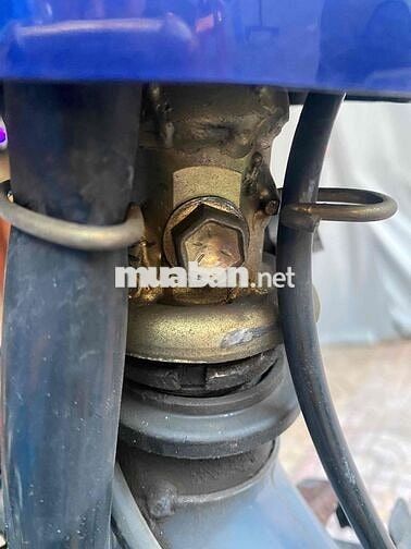 Bán dùm ông chú fu 1 2003 kí giấy