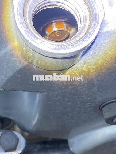 Bán dùm ông chú fu 1 2003 kí giấy