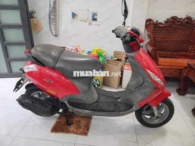 Zip Piaggio