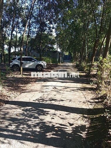 Bán đất khu 6 định hòa tdm bình dương