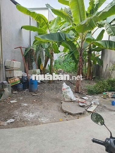 Bán đất khu 6 định hòa tdm bình dương