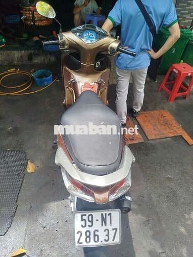 Honda Future Nâu đồng