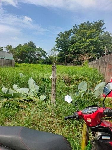 Có sẵn 200m thổ cư, khu cao ráo , không bị ảnh hưởng triều cường 