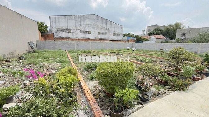 Đất sổ hồng riêng xây dựng hoàn công thới tam thôn hóc môn