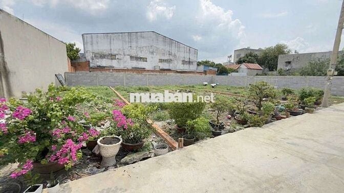 Đất sổ hồng riêng xây dựng hoàn công thới tam thôn hóc môn