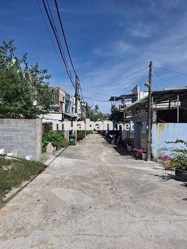 Đất sổ hồng riêng xây dựng hoàn công thới tam thôn hóc môn