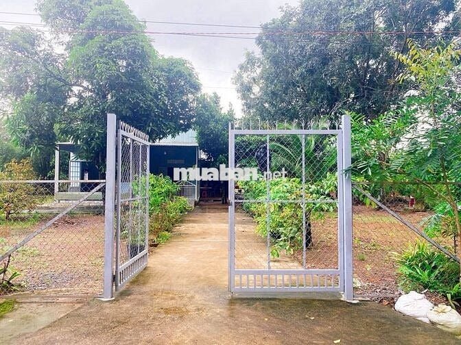 Chủ Ngộp Cần Sang Nhượng Lại Căn Lại Lô Đất Vườn