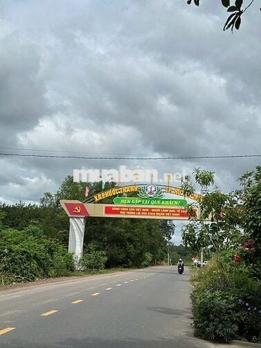 Bán đất mặt tiền nhựa 32m ngay chợ xã Phước Thành - TPHCM, 1ty2/400m2