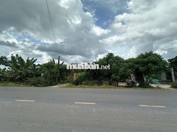 Bán đất mặt tiền nhựa 32m ngay chợ xã Phước Thành - TPHCM, 1ty2/400m2