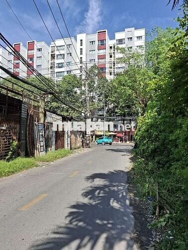 NHÀ 4,1 x 10M ĐG SỐ 8,B.TÂN,RA AEON TP 500M, HẺM XE HƠI, 2 TG, 3,5 TỶ