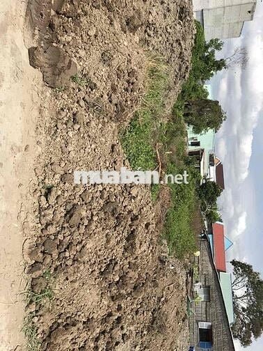 Bán đất thổ cư toàn bộ 177 m2, Lý Nhơn chính chủ