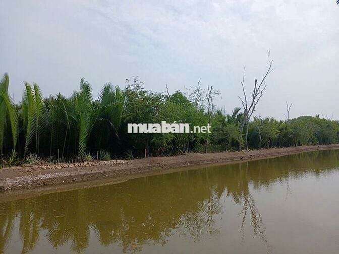 KẸT TIỀN BÁN ĐẤT XÃ BÌNH KHÁNH, HUYỆN CẦN GIỜ, TPHCM