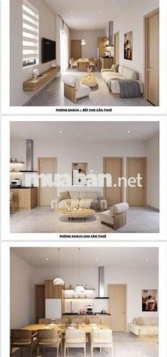 CHO THUÊ VILA MT SƠN TRÀ , GẦN HOÀNG SA CÁCH BIỂN VÀI PHÚT ĐI BỘ